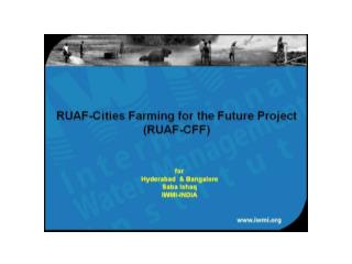 RUAF