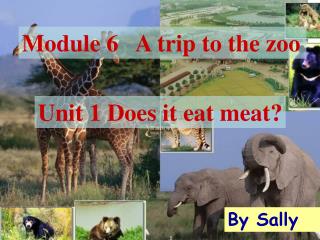 Module 6 A trip to the zoo