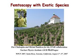 Femtoscopy with Exotic Species