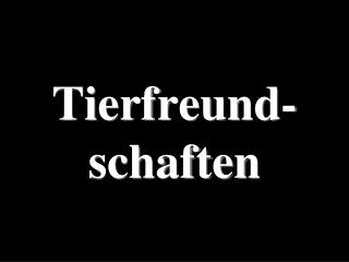 Tierfreund-schaften