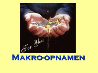 Makro- opnamen