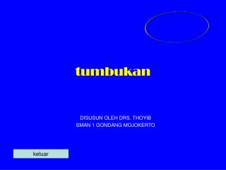 tumbukan