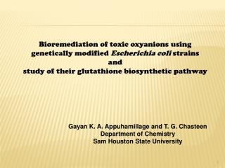 Gayan K. A. Appuhamillage and T. G. Chasteen Department of Chemistry Sam Houston State University