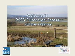 Welcome to RSPB Pulborough Brooks nature reserve