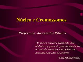 Núcleo e Cromossomos