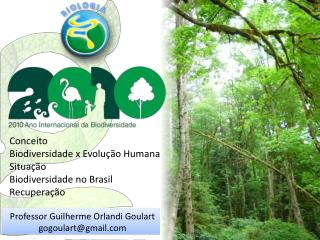 Professor Guilherme Orlandi Goulart gogoulart@gmail