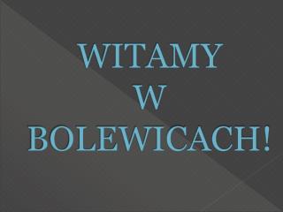 WITAMY W BOLEWICACH!