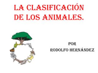 La clasificación de los animales.