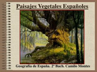 Paisajes Vegetales Españoles