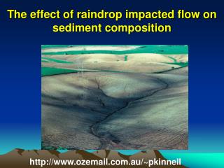 The effect of raindrop impacted flow on sediment composition