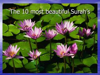 The 10 most beautiful Surah’s