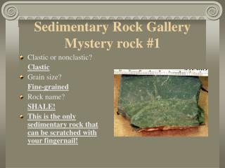Sedimentary Rock Gallery Mystery rock #1