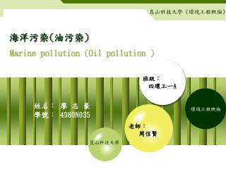 海洋污染 ( 油污染 )