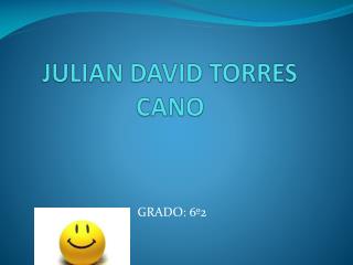 JULIAN DAVID TORRES CANO