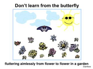 Don’t learn from the butterfly