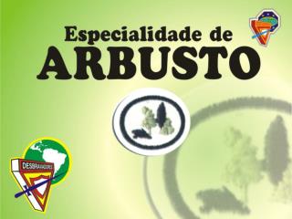 Arbusto