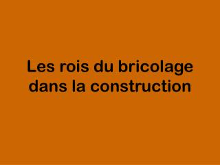 Les rois du bricolage dans la construction