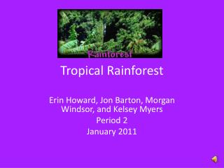 Tropical Rainforest