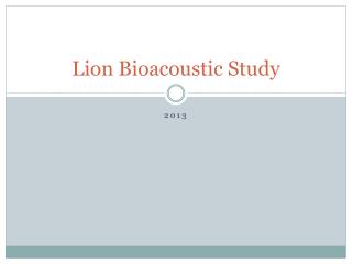 Lion Bioacoustic Study