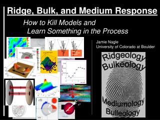 Ridge, Bulk, and Medium Response How to Kill Models and 	 Learn Something in the Process