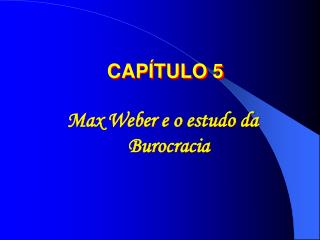 Max Weber e o estudo da Burocracia