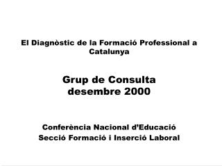 El Diagnòstic de la Formació Professional a Catalunya Grup de Consulta desembre 2000