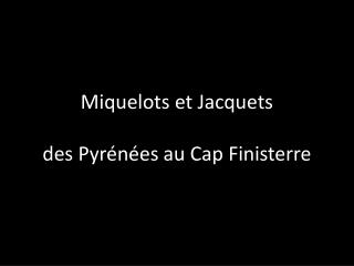 Miquelots et Jacquets des Pyrénées au Cap Finisterre
