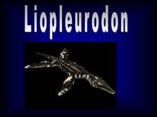 Liopleurodon
