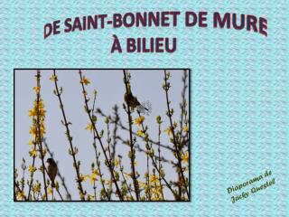 DE SAINT-BONNET DE MURE À BILIEU