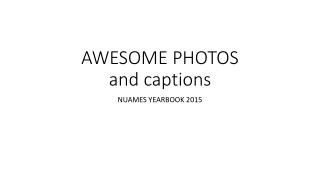 AWESOME PHOTOS and captions