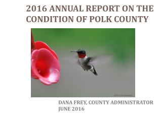 2016 Annual Report on the Condition of Polk County