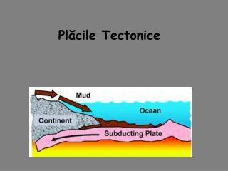 Plăcile Tectonice