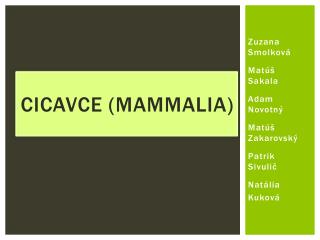 Cicavce ( Mammalia )