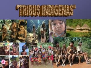 &quot;TRIBUS INDIGENAS&quot;