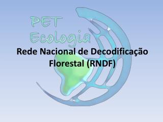 Rede Nacional de Decodificação Florestal (RNDF)