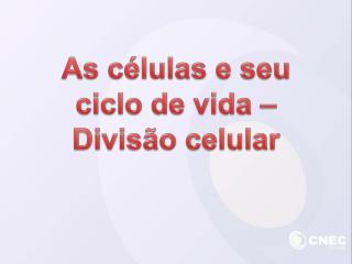 As células e seu ciclo de vida – Divisão celular