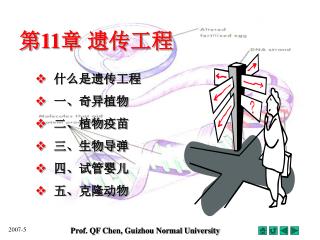 第 11 章 遗传工程