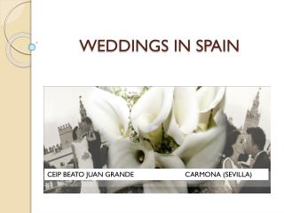 WEDDINGS IN SPAIN