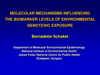 MOLECULAR MECHANISMS INFLUENCING THE BIOMARKER LEVELS OF ENVIRONMENTAL GENOTOXIC EXPOSURE