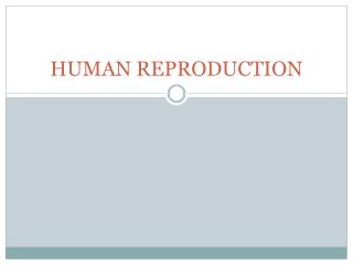 HUMAN REPRODUCTION