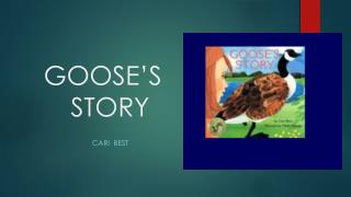 GOOSE’S STORY