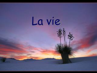 La vie