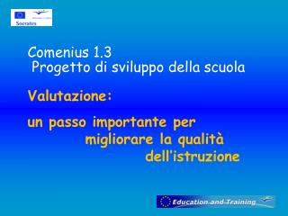 Comenius 1.3 Progetto di sviluppo della scuola