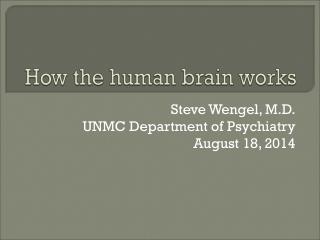How the human brain works