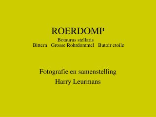 ROERDOMP