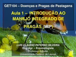 GET104 – Doenças e Pragas de Pastagens Aula 1 – INTRODUÇÃO AO MANEJO INTEGRADO DE PRAGAS ( MIP )