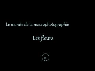 Le monde de la macrophotographie