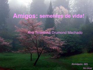 Ana Teresinha Drumond Machado