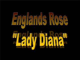 Englands Rose &quot;Lady Diana&quot;
