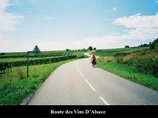Route des Vins D’Alsace